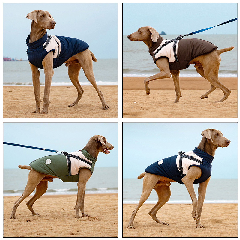 Warm Dog Vest With Built-in Ha - Winter Clothing Line ulasan dan harga