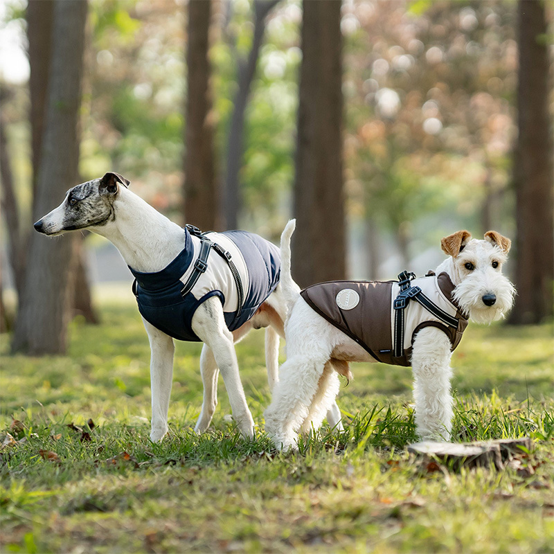 Warm Dog Vest With Built-in Ha - Winter Clothing Line ulasan dan harga