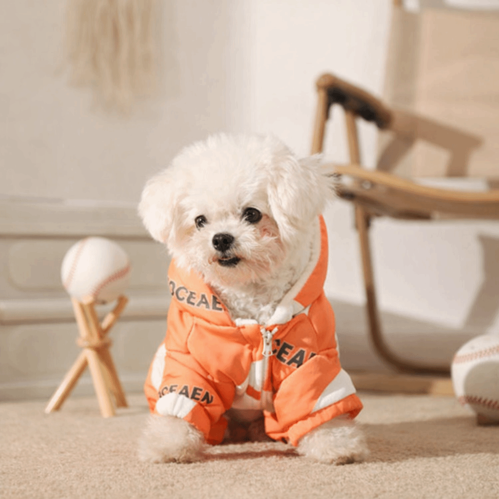 Cute Warm Dog Winter Clothes A - Winter Clothing Line ulasan dan harga