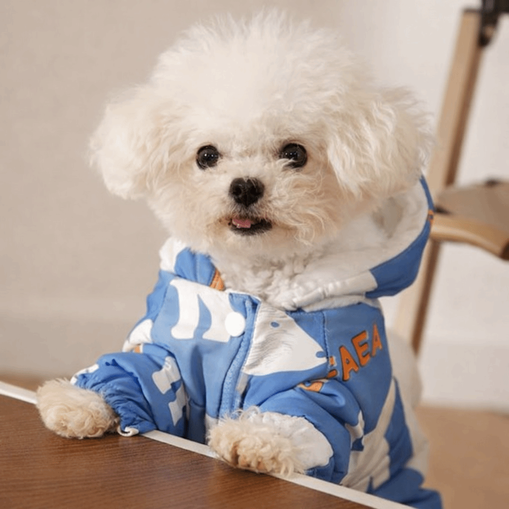 Cute Warm Dog Winter Clothes S - Winter Clothing Line ulasan dan harga