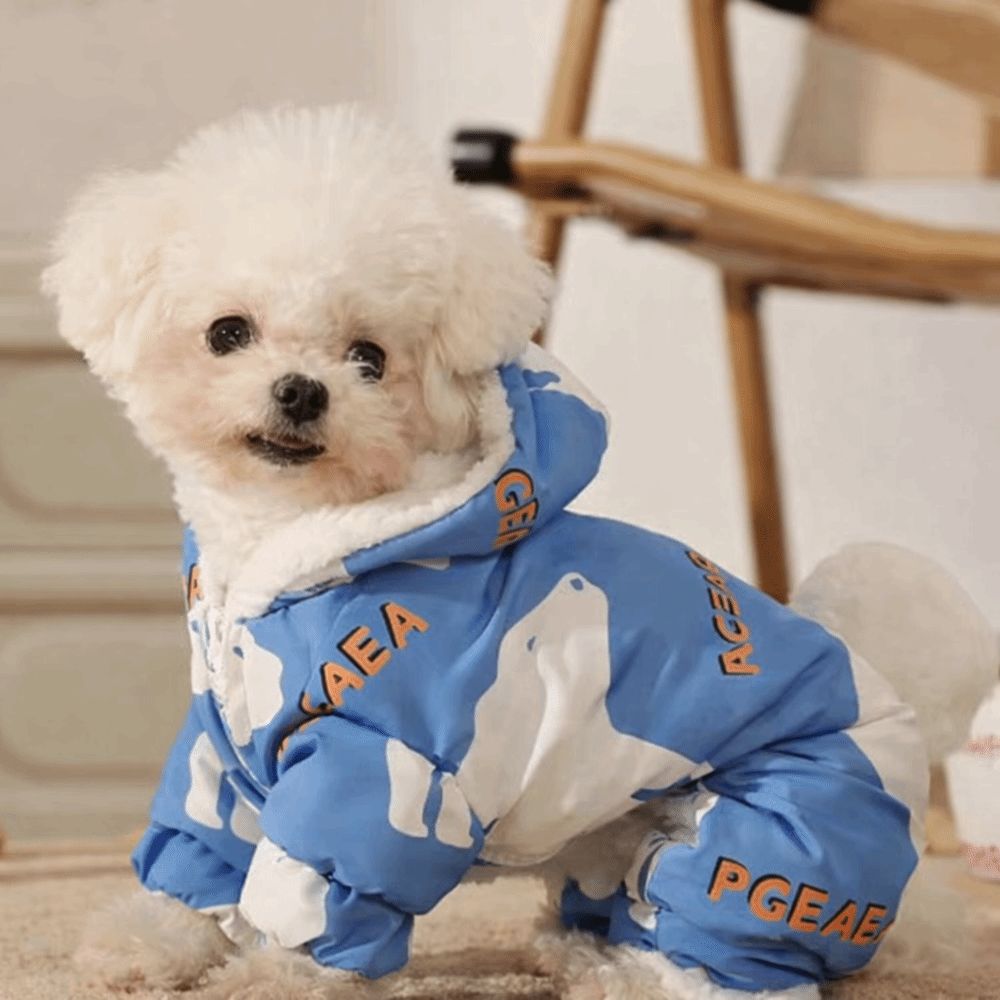 Cute Warm Dog Winter Clothes S - Winter Clothing Line ulasan dan harga