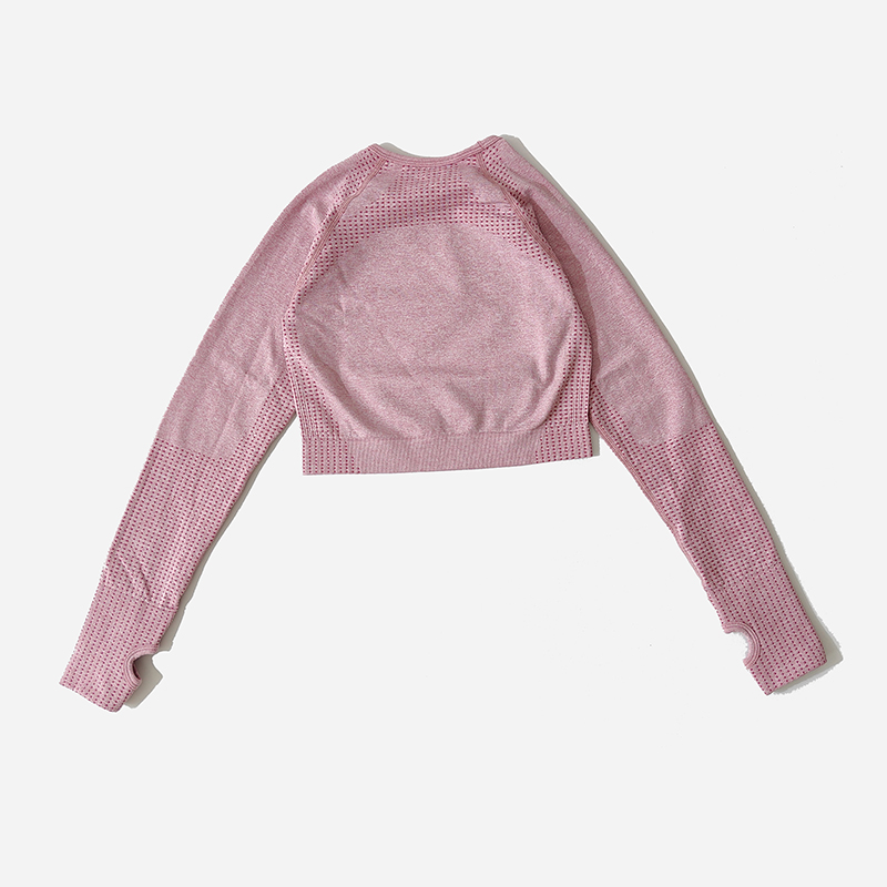 Women Seamless Long Sleeve Cro - Winter Yoga Clothing ulasan dan harga