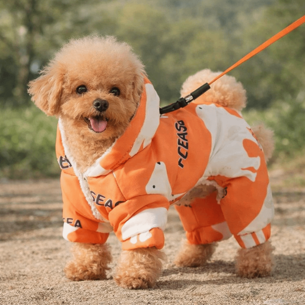 Cute Warm Dog Winter Clothes A - Winter Clothing Line ulasan dan harga