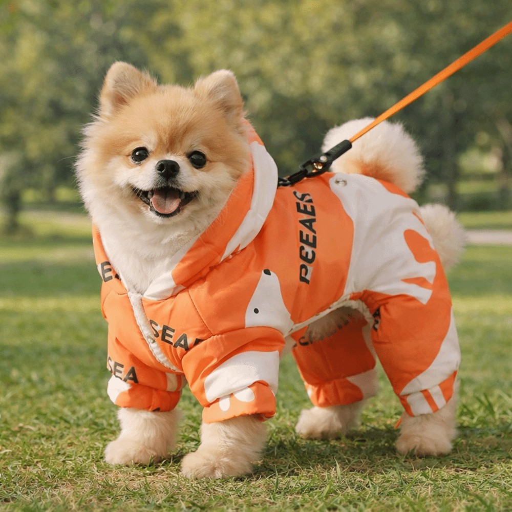 Cute Warm Dog Winter Clothes A - Winter Clothing Line ulasan dan harga