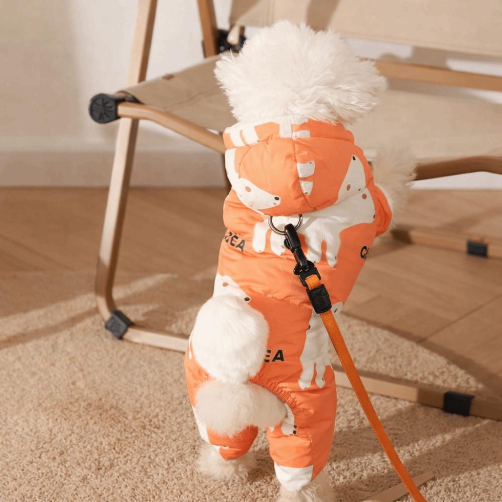 Cute Warm Dog Winter Clothes A - Winter Clothing Line ulasan dan harga